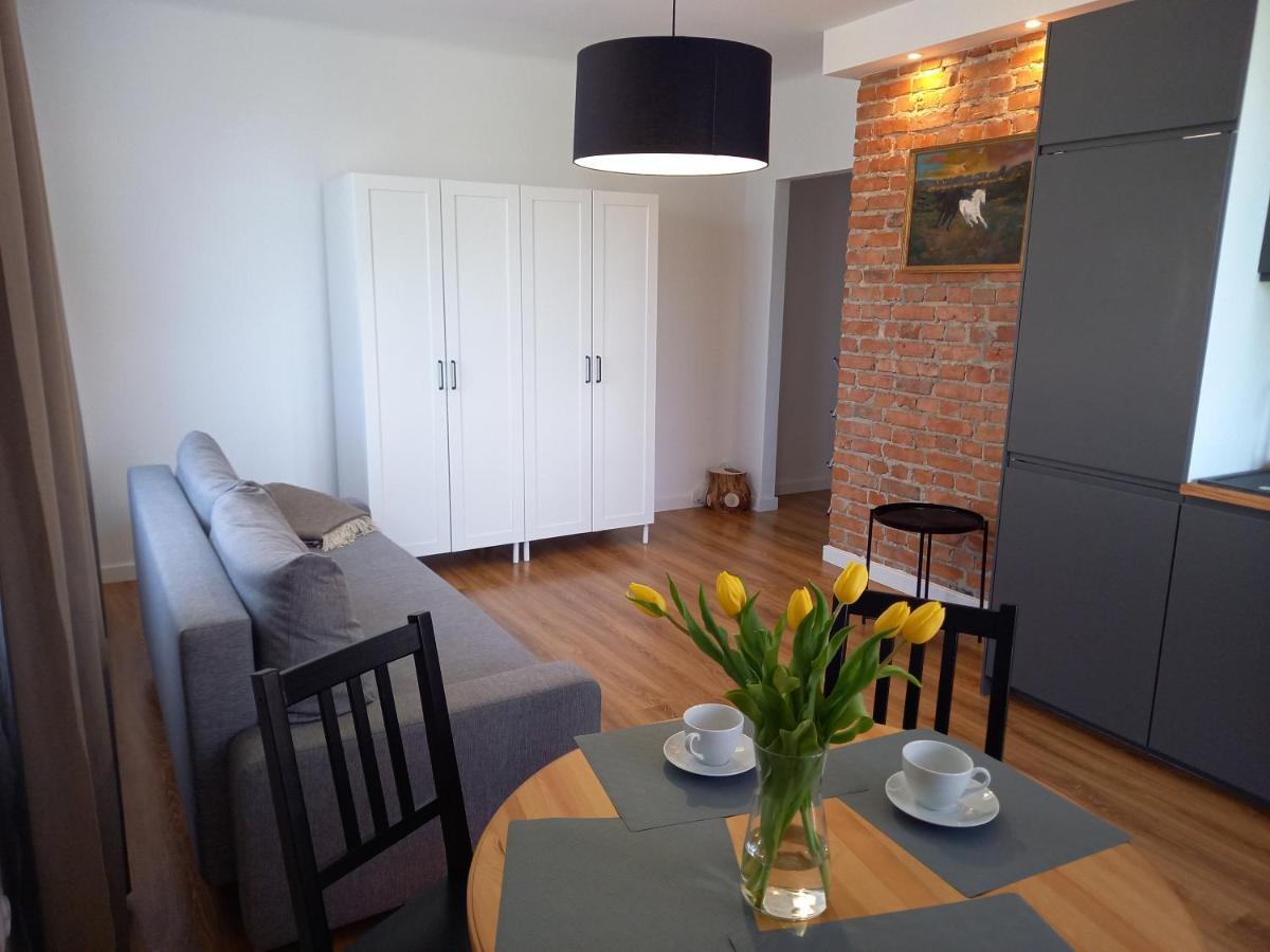 Koszalin-Old Town Apartment エクステリア 写真